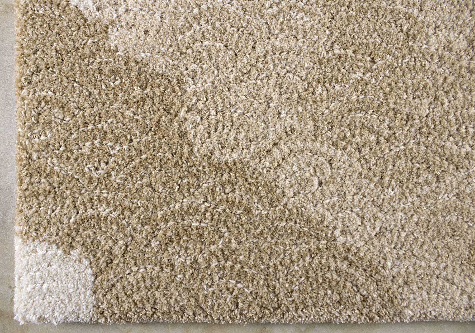 Desert Broom Detail